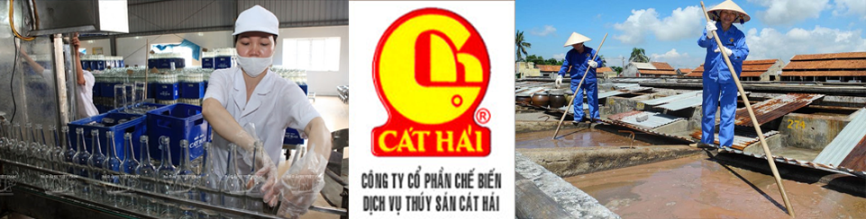 nước mắm cao đạm cát hải, hải phòng