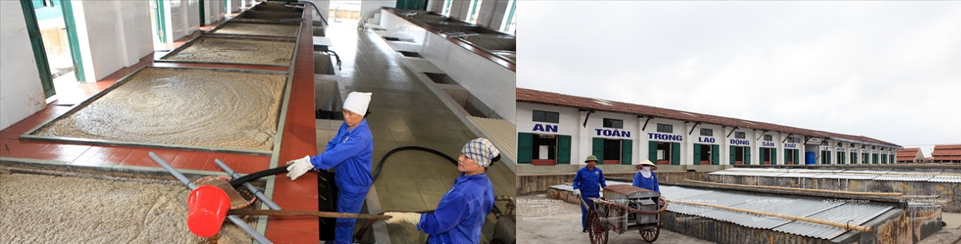 Mắm Cát Hải Cao Đạm Hải Phòng